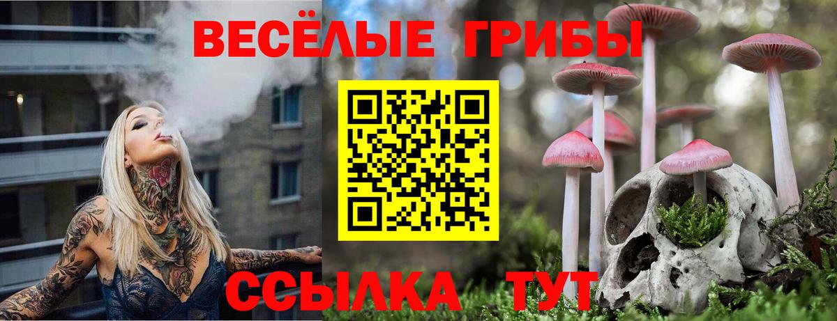 Псилоцибиновые грибы GOLDEN TEACHER Железногорск