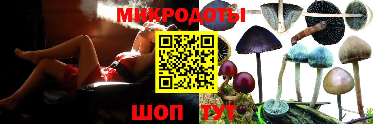 Железногорск  Галлюциногенные грибы прущие грибы  Псилоцибиновые грибы Psilocybine cubensis  Вход с VPN 